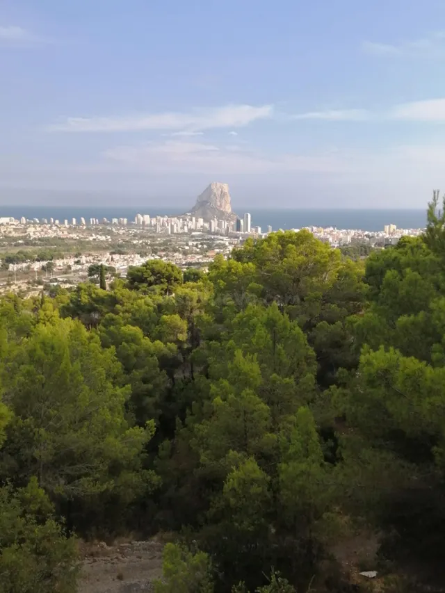 Parcela 18000m² en venta - Oltamar-Cucarres