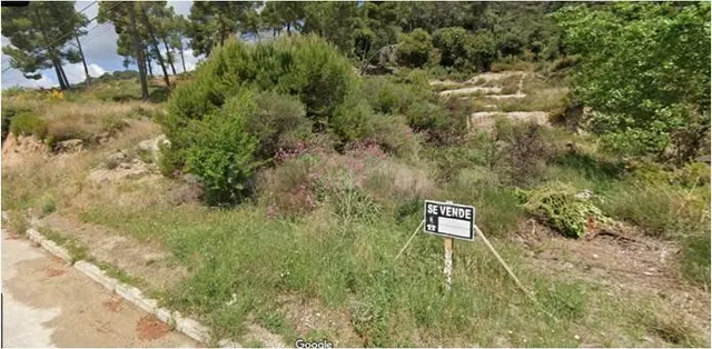 GRAN PARCELA EN REGASOL — 2
