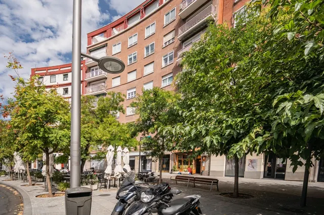 LOCAL EN ALQUILER DE 250 M2 + 25 M2 DE PATIO PRIVATIVO | GLO