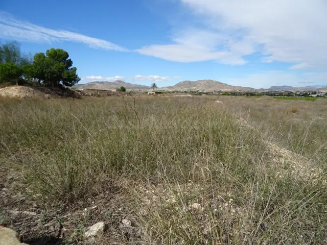 SE VENDE TERRENO EN LA ZONA DE LA HORNA EN ASPE - foto 5