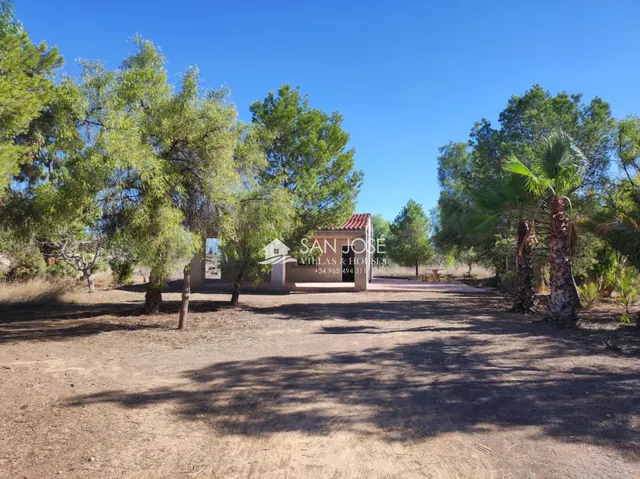 VENTA DE CHALET EN ASPE, ZONA CAMINO VIEJO DE HONDÓN — 33