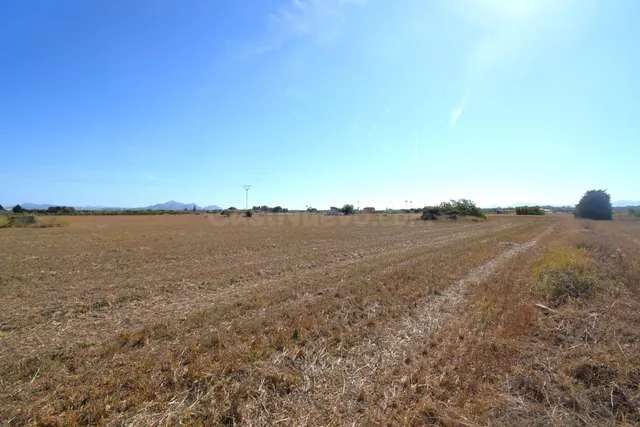 Finca rústica con posibilidad de vivienda en Muro - foto 2
