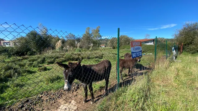 SE VENDE TERRENO URBANIZABLE EN PIELAGOS, RENEDO — 6