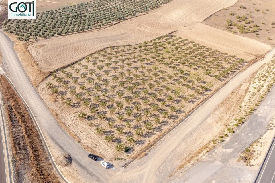 Terreno rural en venta - Otura