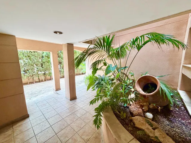EXCLUSIVA PLANTA BAJA EN ES PORTITXOL · 3 DORMITORIOS · 31 M - foto 3