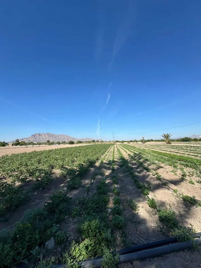 Finca rústica 2 habitaciones 100m² en venta - Comunidad valenciana — 11