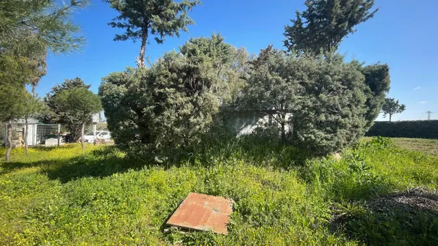 Terreno rural 10m² en alquiler - San Nicasio — 14