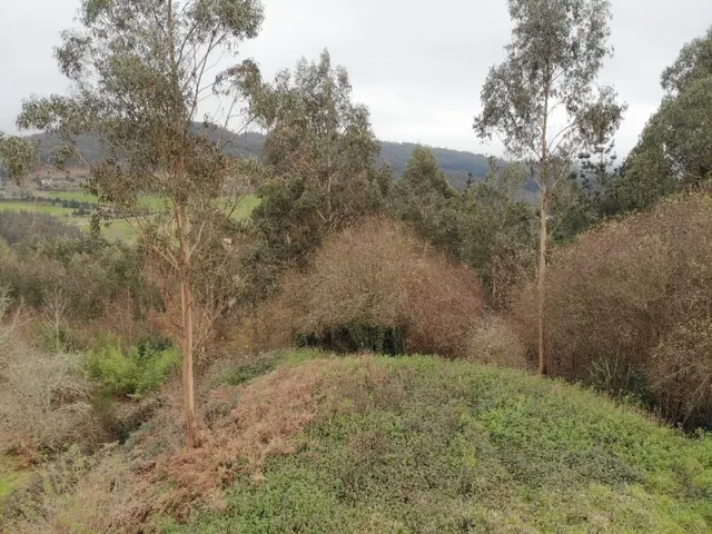 Finca Urbana en OzaCesuras — 31
