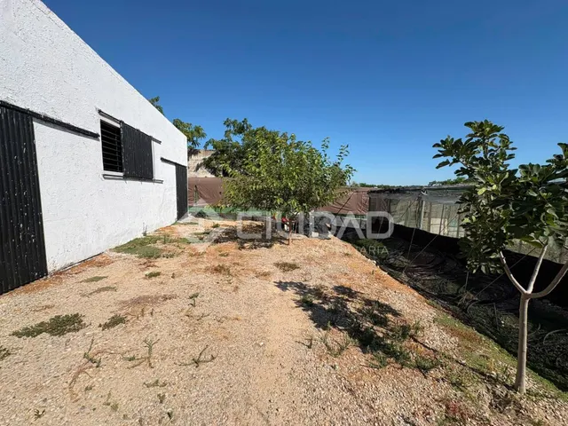 Terreno rústico con construcción e invernaderos - foto 4