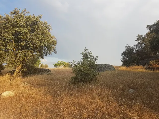 Terreno rural en venta - Alrededores — 8