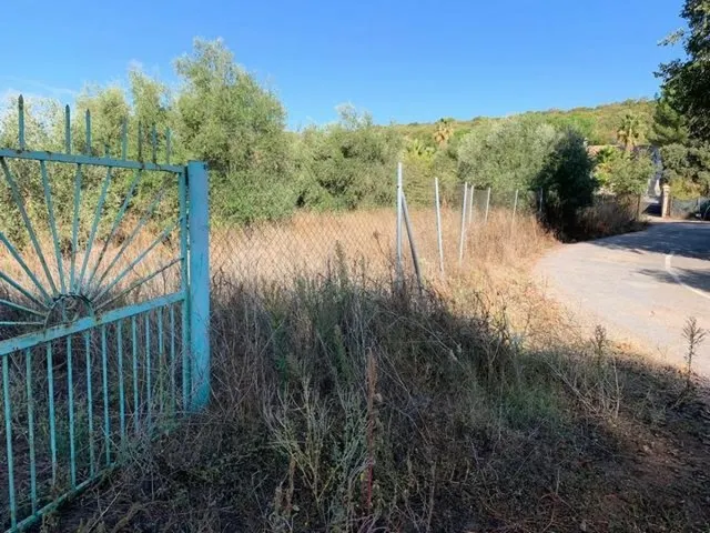ZONA TRASSIERRA - Parcela de terreno de 3.000 m3 con luz, co - foto 3