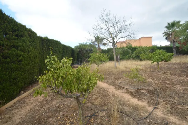 SE VENDE MAGNIFICA VILLA EN LA NUCIA — 5