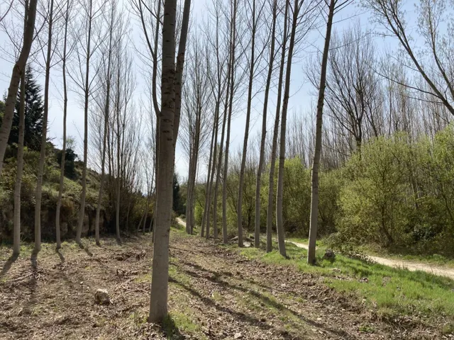 Los Tajos, monumento natural con casa y chiringuito. Finca en Alhama de Granada. — 38