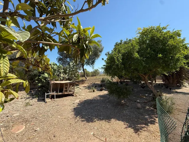 Casa de campo con piscina y terreno en las afueras de Manacor — 18