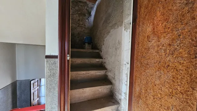 Un lienzo en blanco con 1.000 m2 de parcela y todo por imaginar — 27