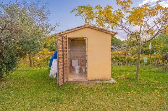 Finca Rural — 6