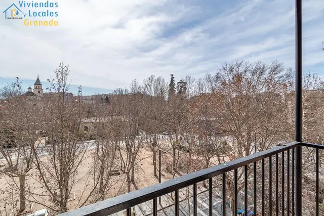 Piso con vistas a Sierra Nevada en Paseo del Salón. — 26
