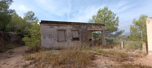 Encantadora Casa de Campo en Hondon de las Nieves - Oportunidad Única — 6