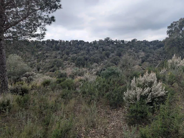 Oportunidad única: Terreno Rústico de 32.000 m2 en un Entorn - foto 5