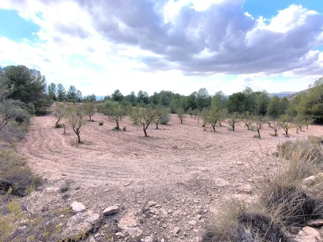 Parcela en venta - Ayuntamiento — 12