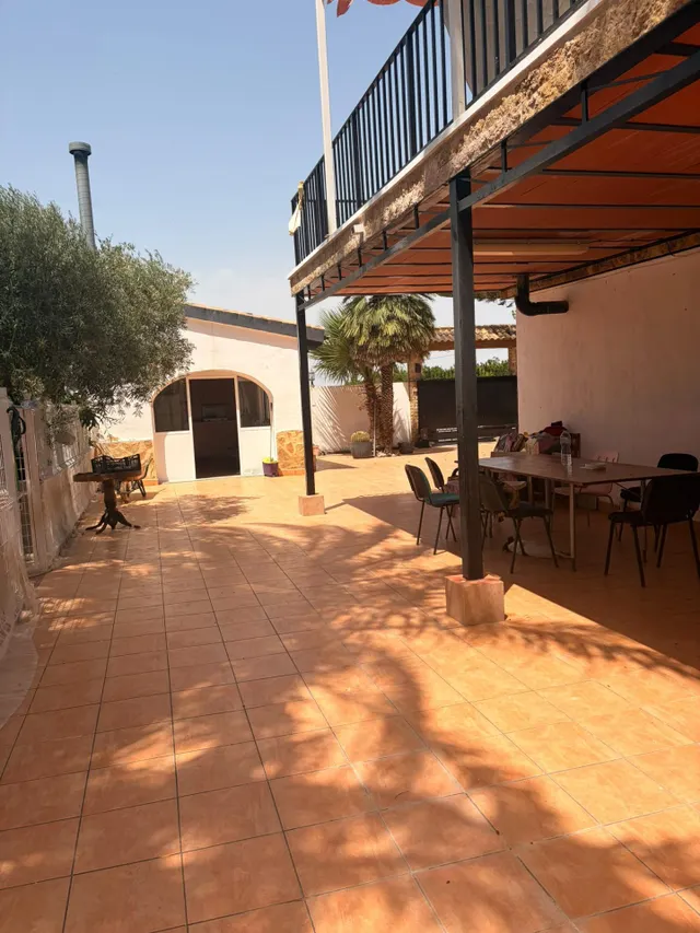 ESPECTACULAR FINCA CON CASA, PISCINA PRIVADA Y PLANTACIÓN DE LIMONEROS EN JACARILLA — 20