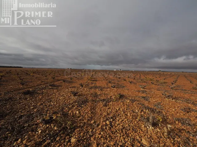 Se vende 13,3 hectareas de viña airen TODO DECLARADO DE AGUA - foto 2