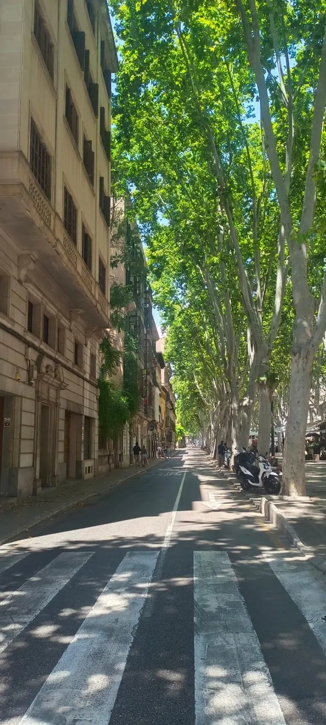 Espectacular Dúplex Ático Zona La Rambla — 7
