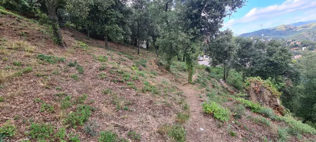 TERRENY EN VENDA — 5