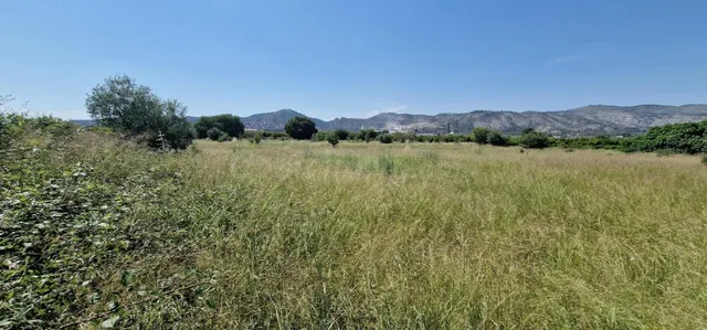 Huerto a un paso de Castellón - foto 4