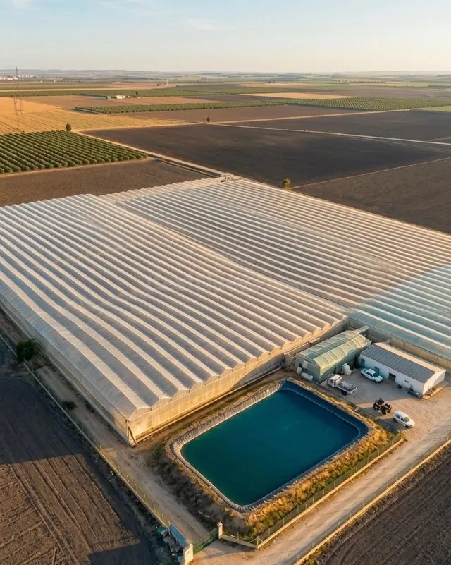 Explotación agrícola de regadío de 11ha en pleno rendimento: - foto 3