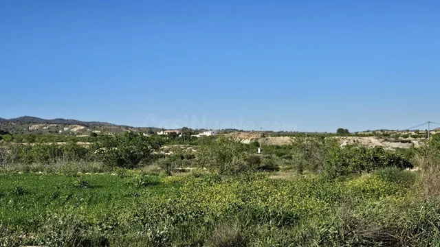 Se vende parcela rústica de 17.000 m2 en Corvera — 4