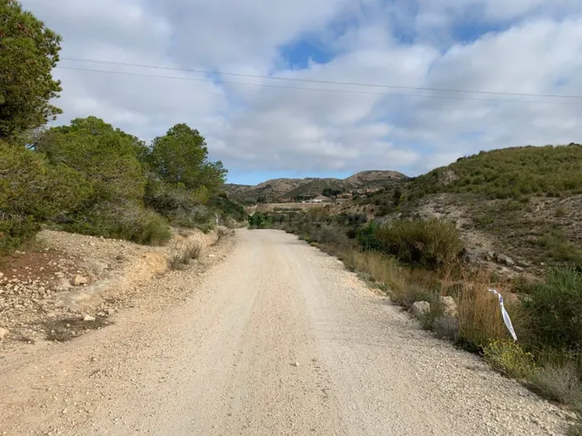 Parcela con terreno rústico de 37.000m2 en zona Bonavista — 3