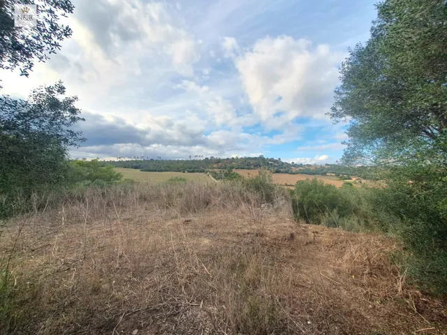 Ikv00514-1. finca rústica de 40.070 m2 con edificación de 488 m2 en Sineu. — 7