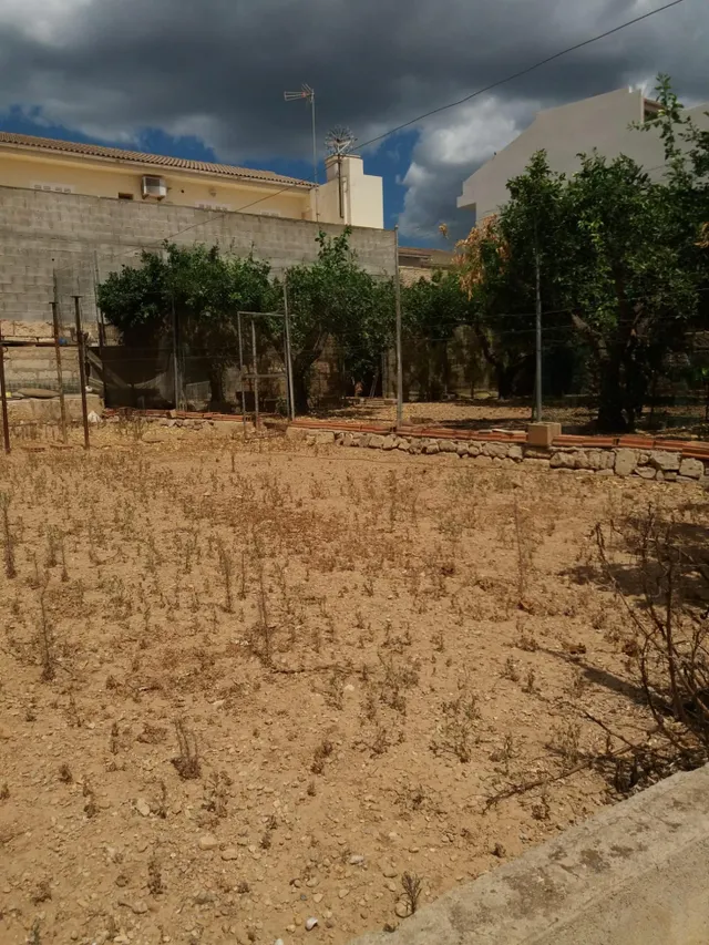 Solar en Sa Pobla — 9