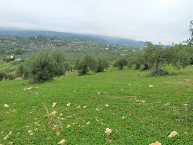 Espectacular finca en la localidad de Alozaina — 10