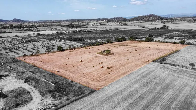 Terreno edificable entre Sineu y Petra - foto 3