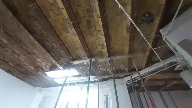 TRASPASO DE HORNO  BOLLERÍA  EN EL BOTANIC — 3
