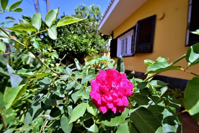 Chalet con Jardín en Geneto - foto 2