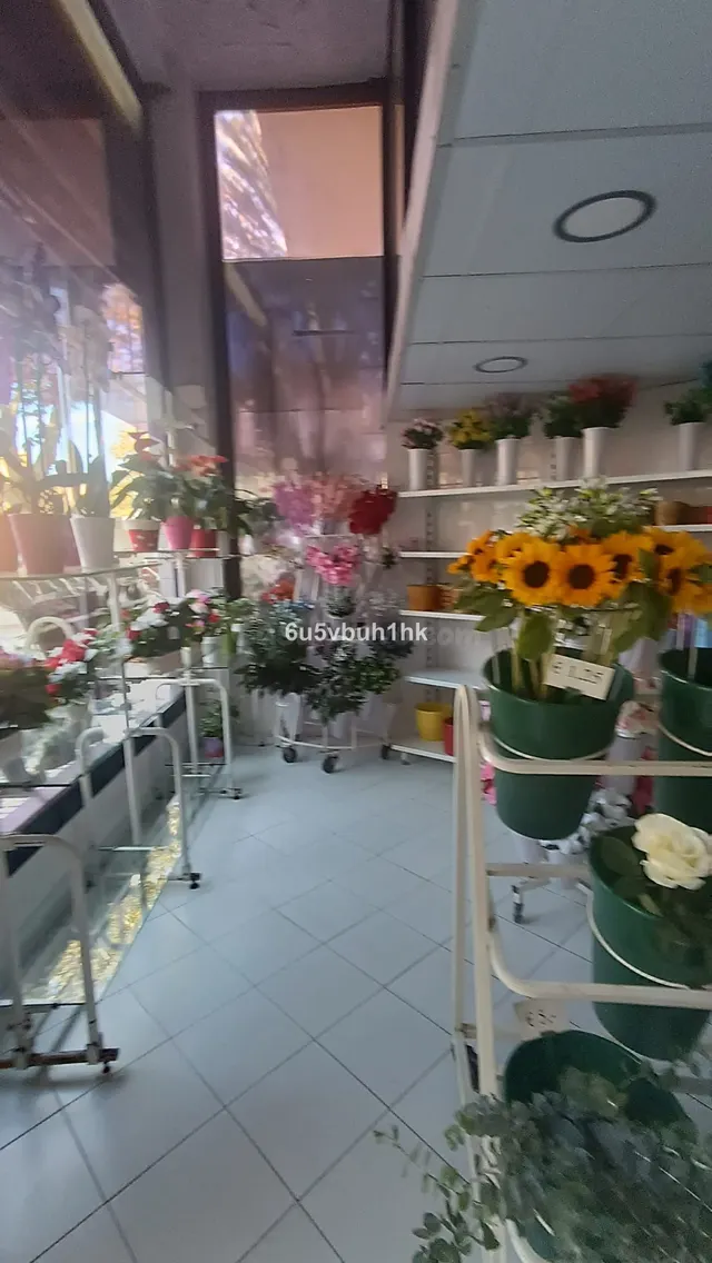 Piso 100m² en venta - Marbella — 4