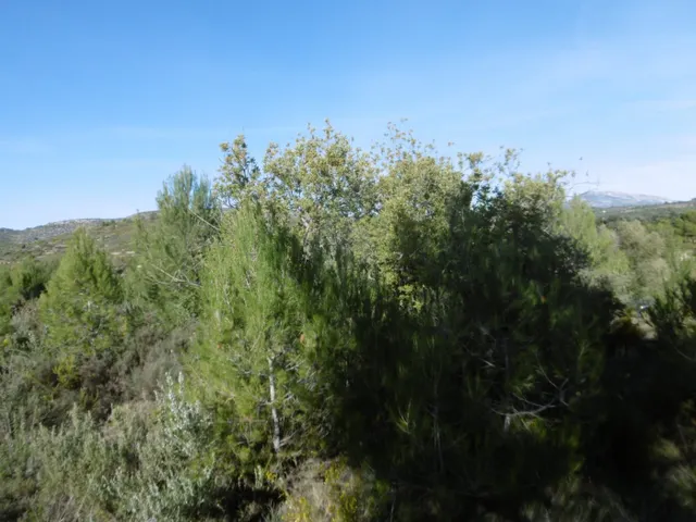 MASIA PARA REFORMAR  CON ALMACENES EN UNA FINCA DE 10 HECTÁREAS — 33