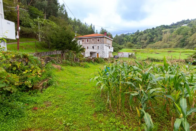 MAGNÍFICA CASA CON 51.000 METROS DE TERRENO EN PUTXETA — 5
