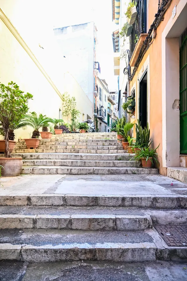 Planta baja 3 habitaciones 63m² en venta - Foners — 18