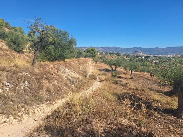 Finca rústica con olivos, almendros y vistas al castillo, a 3 km de Castalla — 10.000 € — 4