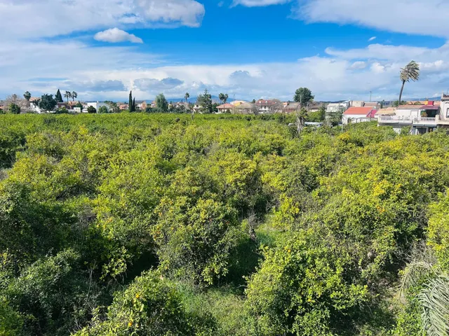 Terreno urbano en la Huerta de Aljucer - Excelente ubicación junto a Avda. del Palmar — 6