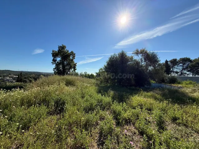 Terreno urbano en venta - Las Pajanosas - foto 5