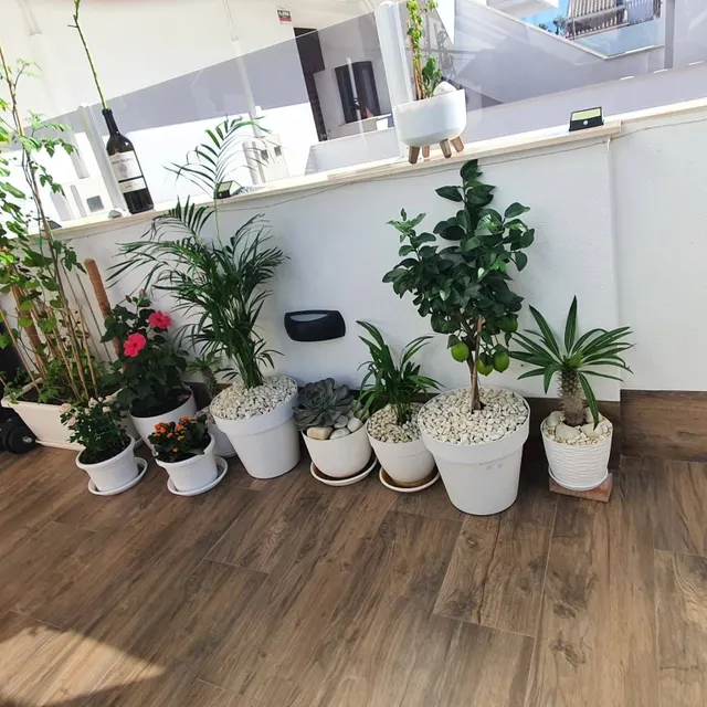 Villa 2 habitaciones 92m² en venta - CENTRO — 12