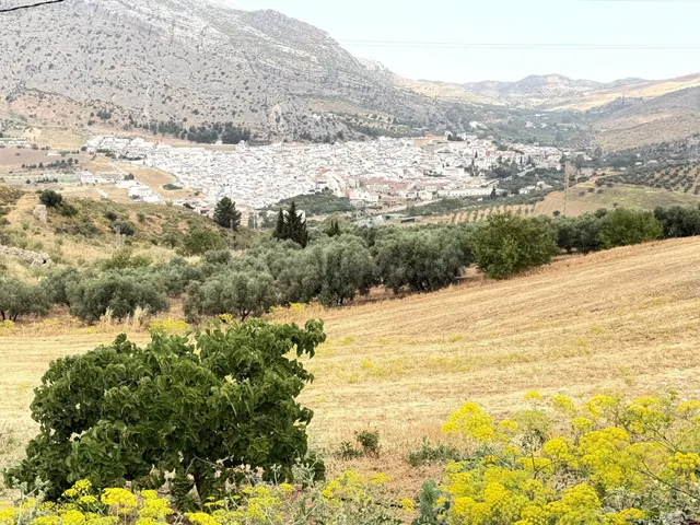 EN EXCLUSIVA PARCELA RUSTICA CON CASA EN LA ZONA DEL VALLE D