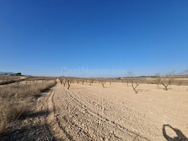 Parcela 400m² en venta - Jumilla - foto 5