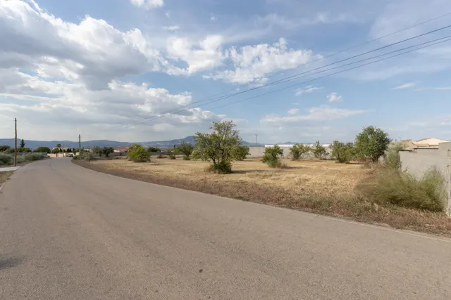 Terreno rural en venta - LOS TABLAZOS — 17