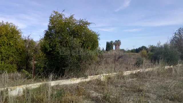 SE VENDE PARCELA RÚSTICA EN EL LLANO DE MOLINA - foto 3